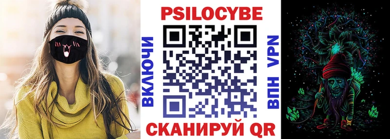 наркота  Новохопёрск  Псилоцибиновые грибы Cubensis 